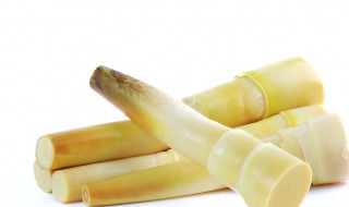 竹笋保鲜方法 这四种方法都很合适