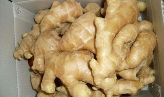 姜的保鲜方法 这样的姜保存时间会更长