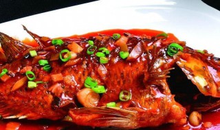 红烧罗非鱼怎么做好吃又简单 红烧罗非鱼的做法