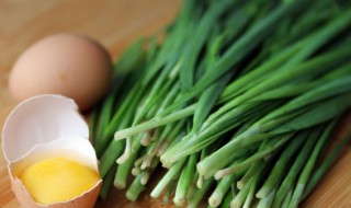 韭菜的培育方法 怎么种植韭菜