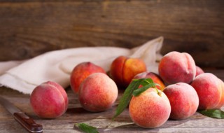 桃的栽培方法 桃的种植方法