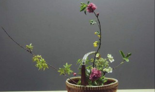 插花保鲜方法 做到这三点就可以了