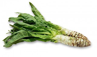 莴笋的保鲜方法 都有哪些可以保存莴笋的办法