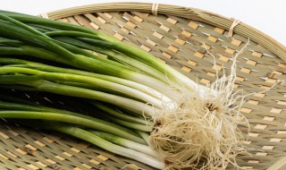 葱的保鲜方法 最易操作的方法是这一种