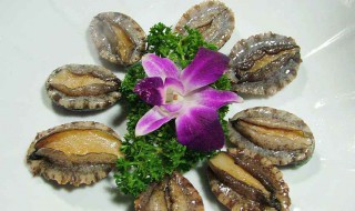 鲍鱼的保鲜方法 这样保存的鲍鱼最新鲜