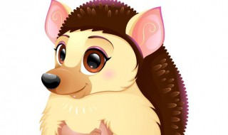 找豪猪方法 捕豪猪的方法有哪些