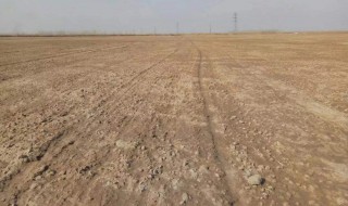 土板结变硬怎么处理 可以怎么改善这个情况