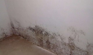 水晶画发霉怎么处理 水晶画发霉处理的方法