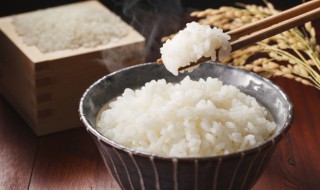 糯米出虫子怎么处理 怎样去除大米里的虫子