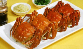 螃蟹禁忌食物有哪些 不能和螃蟹一起吃的食物介绍