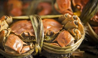 收到青螃蟹怎么保存 新鲜的螃蟹怎么保存