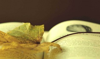 前人之述备矣备的意思 前人之述备矣备的意思是很多