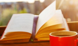 与读书有关的名言 关于读书的名言