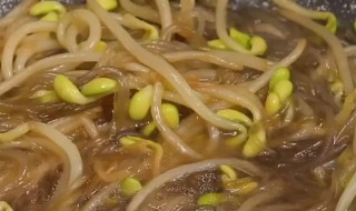 豆芽炒粉条的家常做法 豆芽炒粉条简单做法