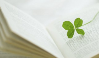 有关学习的诗句 学习的诗句名言