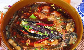 鲶鱼饨茄子怎么做 如何做鲶鱼炖茄子