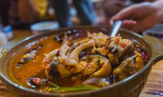 清炖江鳅怎么做 清炖江鳅的做法步骤