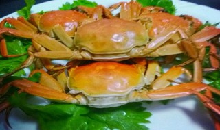 煮螃蟹烹制方法 煮螃蟹烹制方法简述