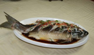 清蒸鲫鱼的做法和步骤 如何清蒸鲫鱼