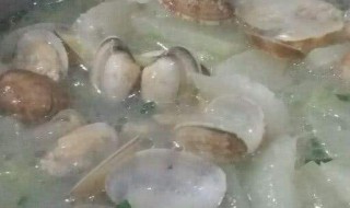 冬瓜煲花甲怎么做 做花甲汤的方法