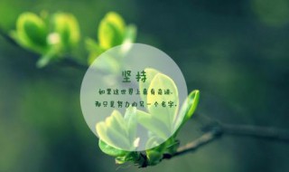 抖音上很火的句子 抖音上很火的句子有哪些