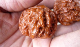 怎么盘核桃 盘核桃方法介绍