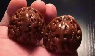 核桃怎么盘玩效果最好 告诉你盘玩小窍门