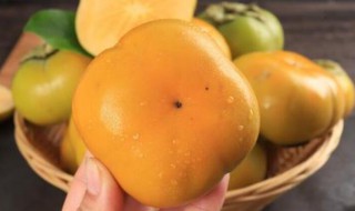 脆柿子怎么去涩 脆柿子怎么去涩的方法