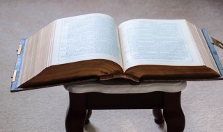 系组词 系有什么组词