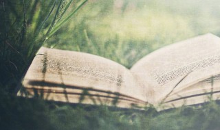 豌组词 豌如何组词