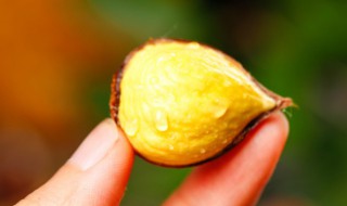 板栗烤箱要考多久 烤箱版烤板栗的方法