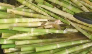 咸菜苗做法 做咸菜苗的方法