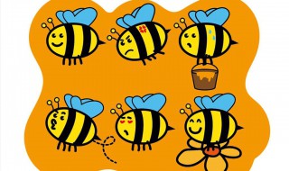 家里有蜜蜂是什么兆头 家里来蜜蜂是什么预兆