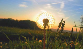 郊游的优美语句 郊游的优美语句有哪些