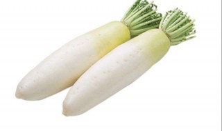秋天吃白萝卜好吗 秋天吃白萝卜的好处