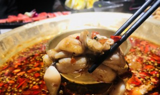 蛙肉如何做嫩 原料细节要把关