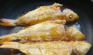 红衫鱼怎么处理干净 红衫鱼的处理方法