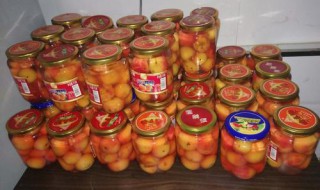 罐头沙果怎么做 罐头沙果制作方法