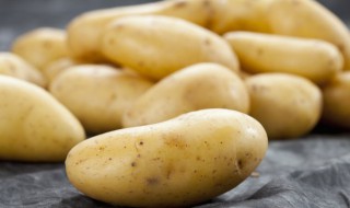 土豆的放置方法 教你几个小妙招