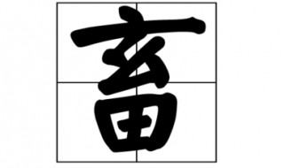 畜的多音字组词 畜的多音字读音及组词