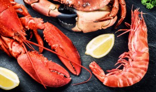 基围虾保存方法 活基围虾和死基围虾的保存方法