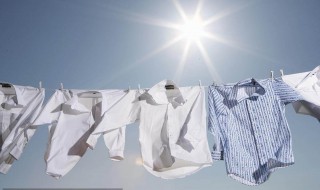 纯棉衬衣领清洗窍门 如何清洗纯棉衬衣