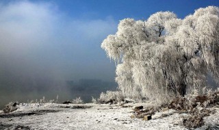 关于雪的作文600字 关于雪的作文600字范文