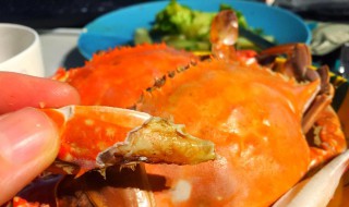 梭子蟹如何做最好吃 梭子蟹的做法