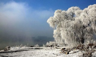 家乡的冬天作文300字 家乡的冬天作文300字范文