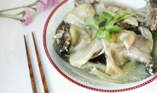 活甲鱼怎么处理好吃 活甲鱼的处理方法及做法