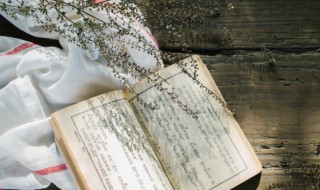 三字经的读后感 三字经的读后感范文