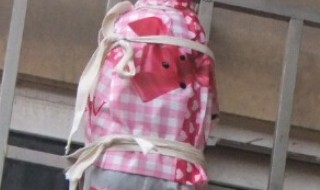 家中怎么做鸟巢 鸟巢简易做法