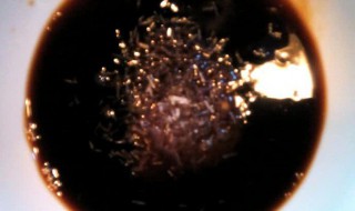 海鲜汁怎么调最简单的 需要哪些食材