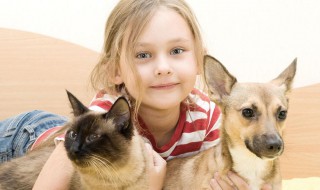 小孩纯粹的句子 赞美儿童天真纯洁的句子